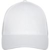 Drake 6 panel trucker-cap