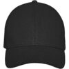 Drake 6 panel trucker-cap