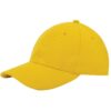 Heavy brushed cap