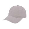 Brushed promo cap