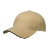 Heavy Brushed Ultimate Sandwich Cap
