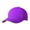 Heavy Brushed Ultimate Sandwich Cap