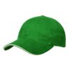 Heavy Brushed Ultimate Sandwich Cap