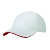 Heavy Twill Duo-Tone Strap Cap