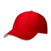 Heavy Twill Duo-Tone Strap Cap