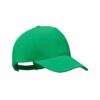 BICCA CAP - Baseball cap van biologisch kat