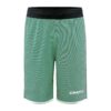 Craft Progress Rev. Basket Shorts Jr
