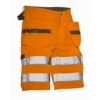 2207 Hv Shorts Hp
