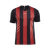 Craft Progress Stripe Jersey M