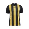 Craft Progress Stripe Jersey M