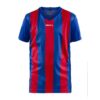 Craft Progress Stripe Jersey JR