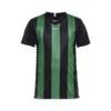 Craft Progress Stripe Jersey JR
