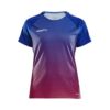 Craft Pro Control Stripe Jersey W