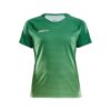 Craft Pro Control Stripe Jersey W