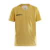 Craft Pro Control Stripe Jersey JR