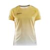 Craft Pro Control Fade Jersey W