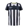 Craft Progress 2.0 Stripe Jr