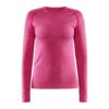 Craft Core Dry Active Comfort Ls Wmn