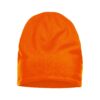 9040 Beanie