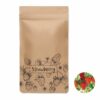 FRESA KIT - Aardbeien kweekset