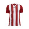 Craft Progress Stripe Jersey M