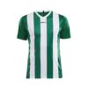 Craft Progress Stripe Jersey M