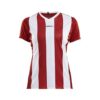 Craft Progress Stripe Jersey W