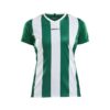 Craft Progress Stripe Jersey W