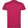 Beagle kindershirt met korte mouwen