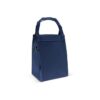 Opvouwbare koeltas & picknickmat