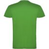 Beagle herenshirt met korte mouwen
