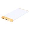Coquin - powerbank