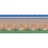 Muurdecoratie Oranje Voetbal 240x180cm