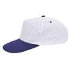 Promo cap
