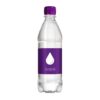 Bronwater 500 ml R-PET met draaidop