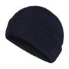 Thinsulate Acrylic Hat