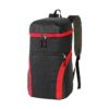 Food Market Cooler Backpack