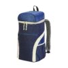 Food Market Cooler Backpack
