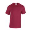 T-Shirt Heavy Cotton Adult full colour