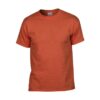 T-Shirt Heavy Cotton Adult full colour