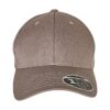 110 Curved Visor Snapback