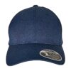 110 Curved Visor Snapback