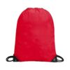 Drawstring Tote