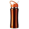 RVS drinkfles 60 cl.
