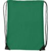 Polyester (210D) rugtas Venus
