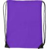 Polyester (210D) rugtas Venus