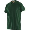 5564 Polo