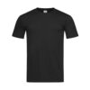 Classic-T Fitted