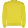 Clasica unisex trui met ronde hals