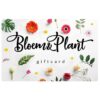 Bloem & Plant - fysiek